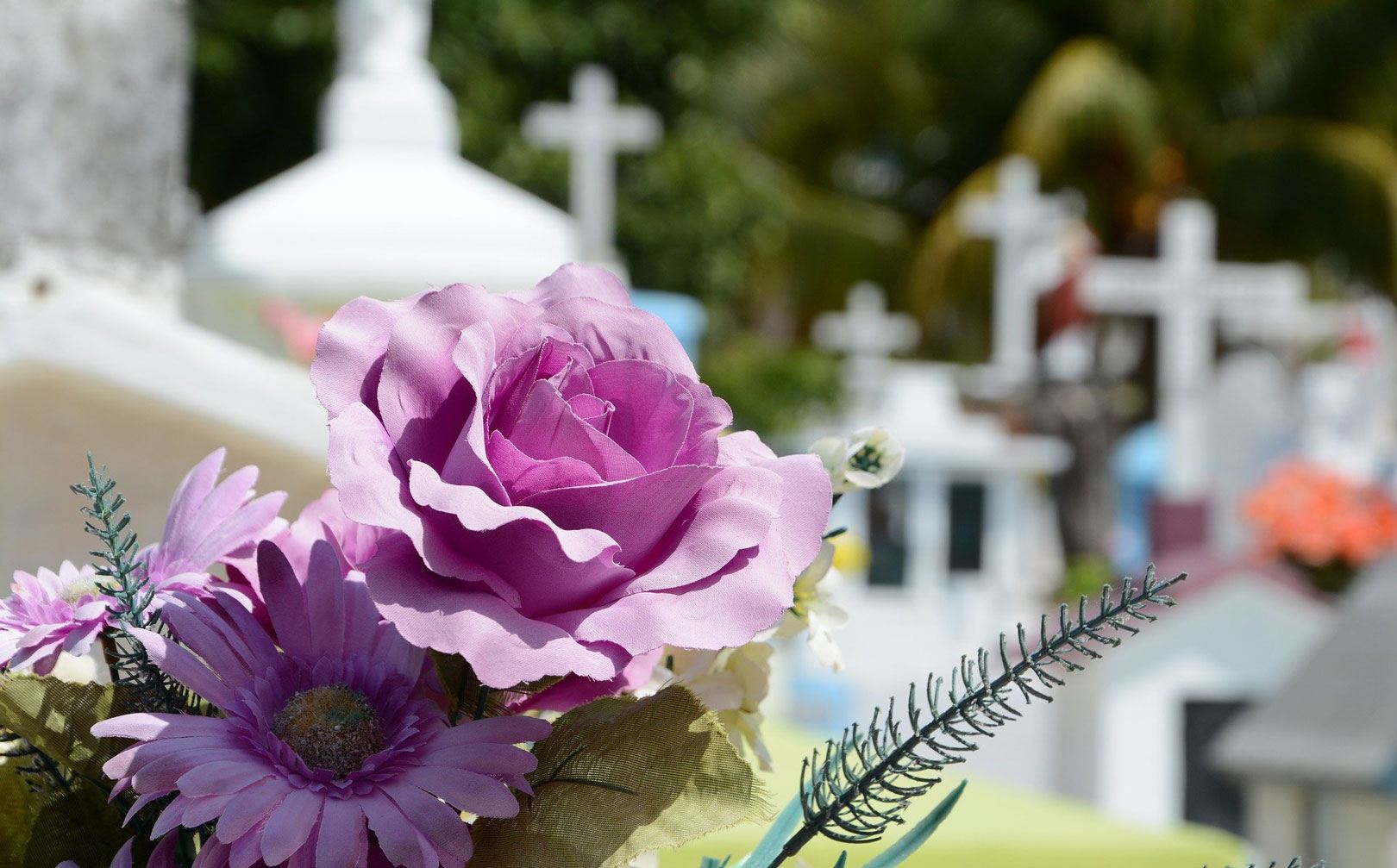 Sepolture e funerali